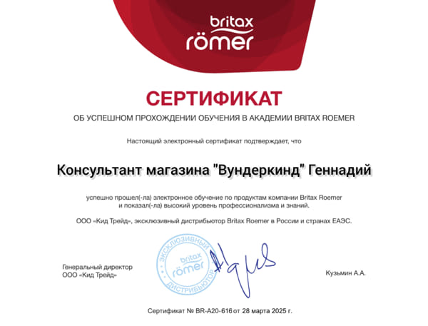 сертификат обучения в академии по безопасности детских автокресел Новороссийск