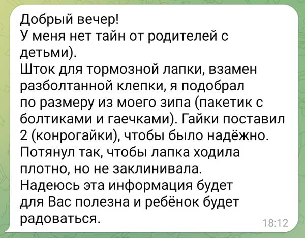 Техпомощь велосипед Doona Питер (скрин переписки)