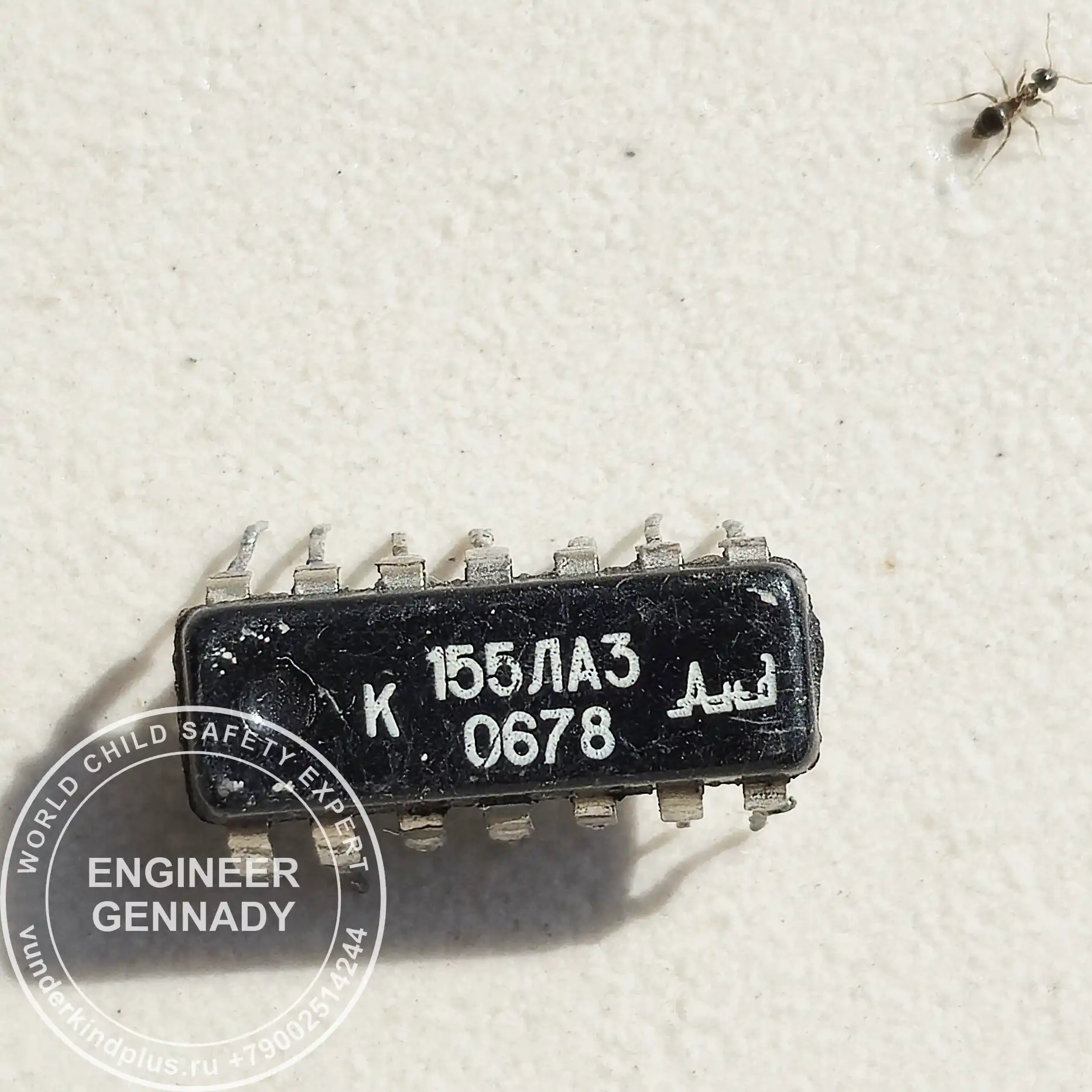 quantum-theory-of-living-things (K155LA3 microchip on a green leaf with an ant. Symbol of quantum logic and natural life synergy.)
