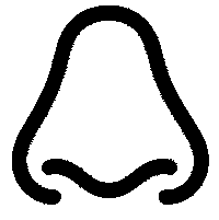 запах коляски