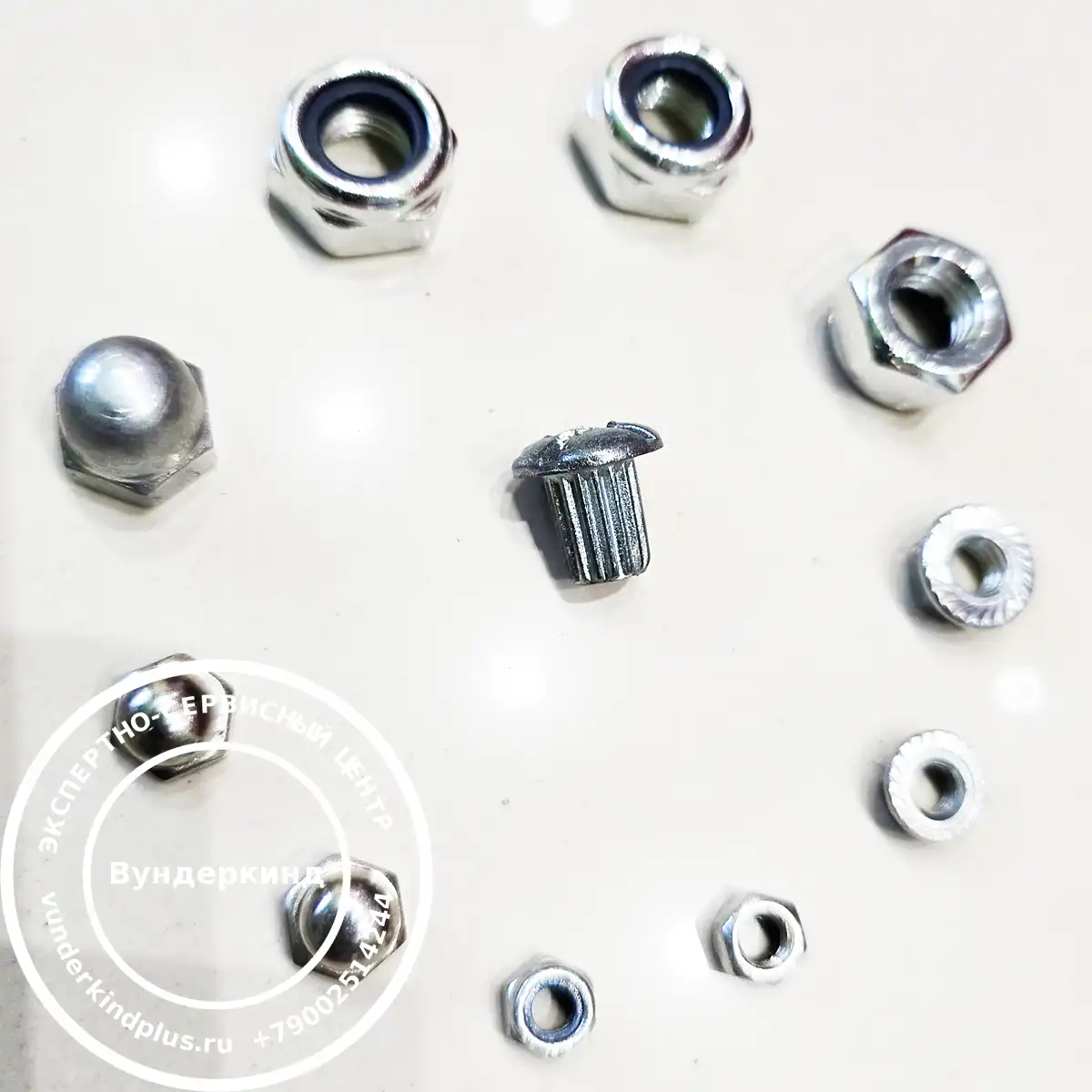 Quantum Safety Theory | Вундеркинд Новороссийск